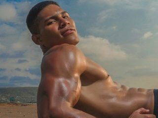 Teddy Fit's Live Webcam