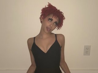 TinyJayla's Live Webcam