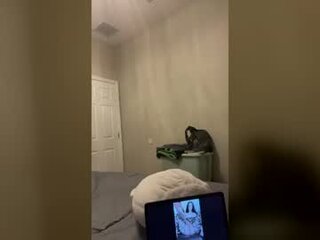 twohoolies's Live Webcam